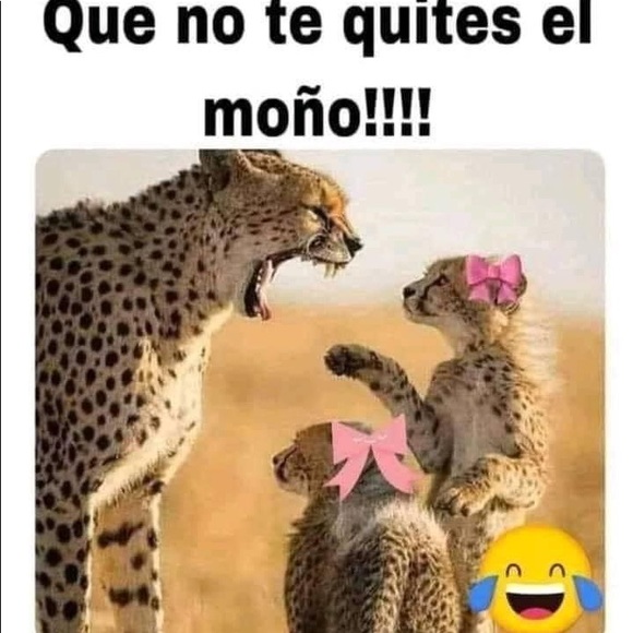 Meet your Posher, Lorena - Picture 1 of 1